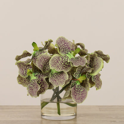 Vanda Arrangement in Glass Vase