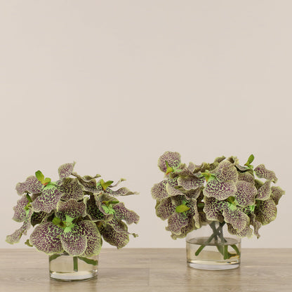 Vanda Arrangement in Glass Vase
