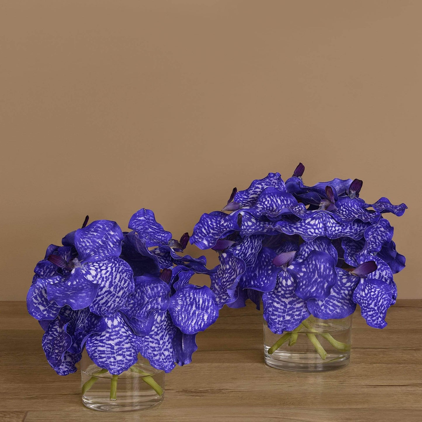 Vanda Arrangement in Glass Vase