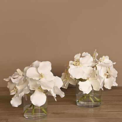 Vanda Arrangement in Glass Vase
