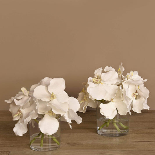 Vanda Arrangement in Glass Vase